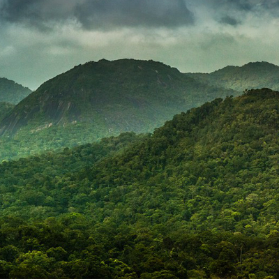 Le Parc amazonien de Guyane | Parc amazonien de Guyane