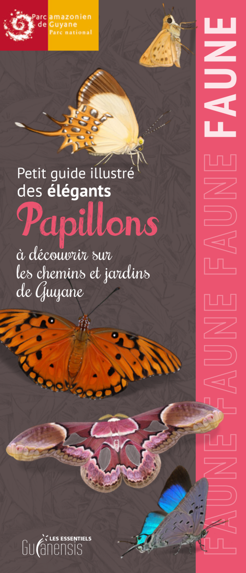 couverture papillons