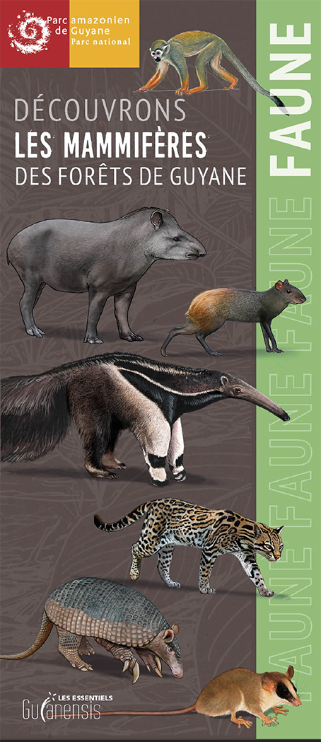 Couverture plaquette guianensis