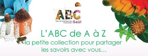 20210603_abcsaul_collectionaaz_bandeau.jpg