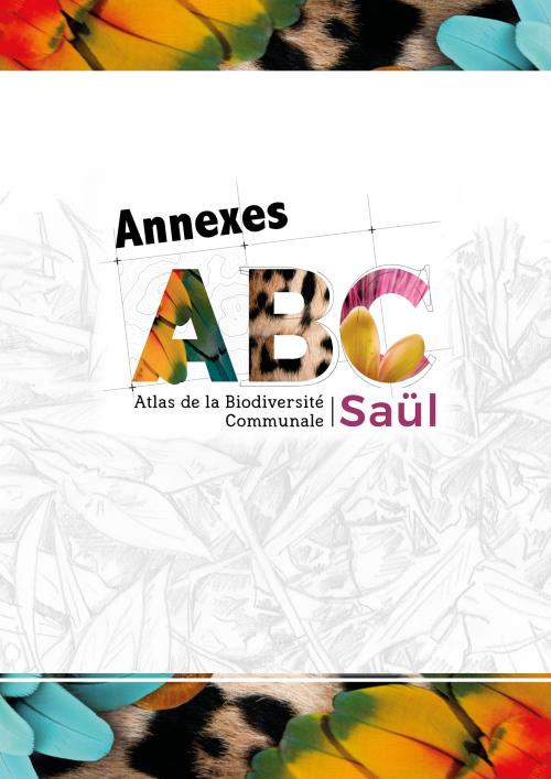 div.couvertures_abc_saul2.jpg