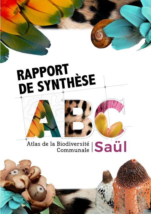 div.couvertures_abc_saul.jpg