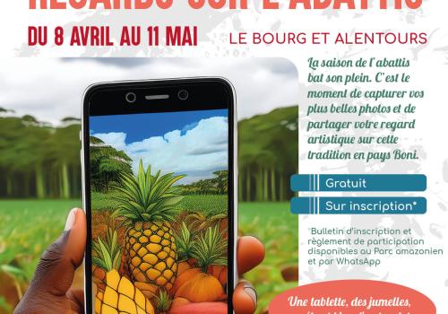 Flyer regards sur l'abattis