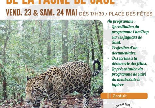 flyer FDN Saül