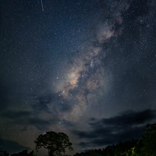 Sous les étoiles