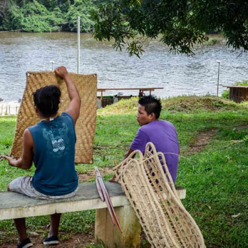 aroumans-guyane.jpg