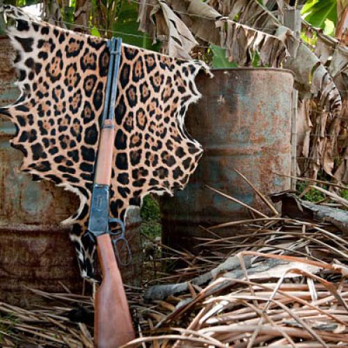chasse_-guyane.jpg