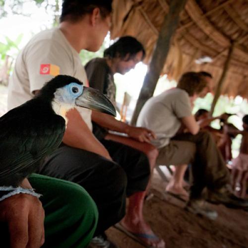 gouvernance_parc_amazonien_guyane.jpg