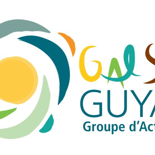 logo-gal-sud_guyane-2017-hd-fondblanc.jpg