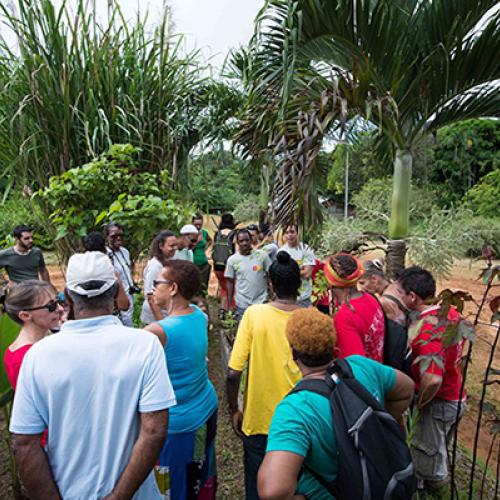 manif_eco-citoyennes_parc_amazonien_guyane.jpg