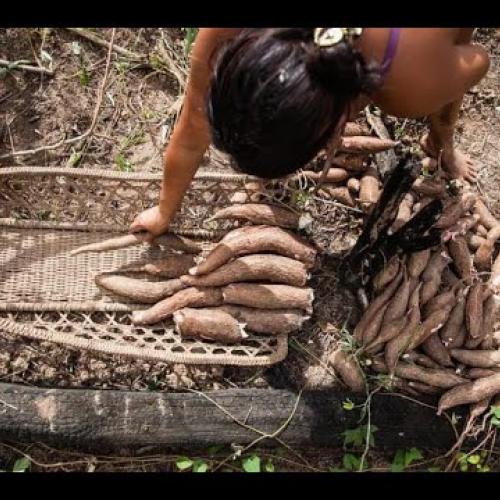 La place des activités vivrières dans la sécurité alimentaire sur le Haut-Maroni