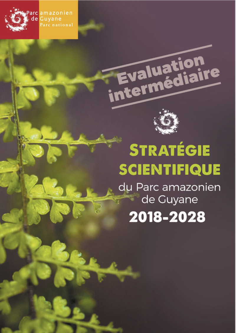 couverture stratégie scientifique