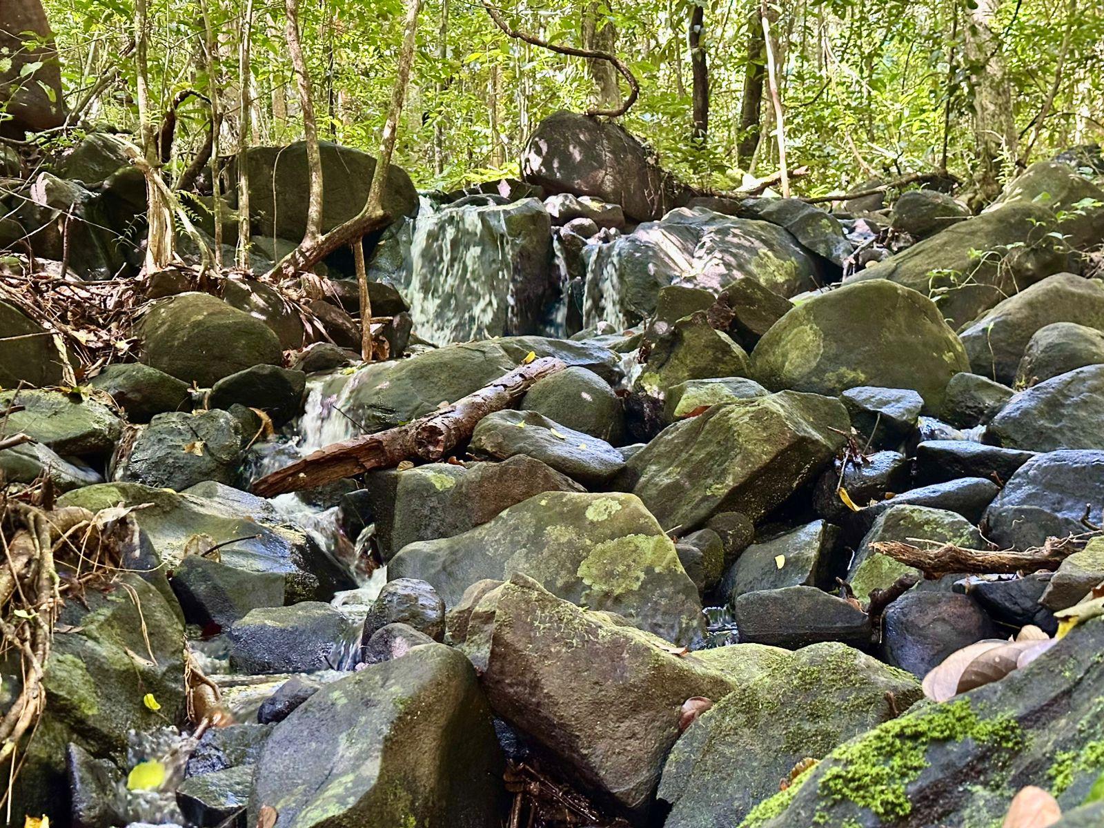 mont itoupé