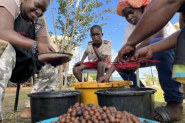 Journée de la gastronomie durable Papaïchton