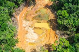 brigitte_creek_-_legal_mining_site_during_operation_2_c_clement_villien_-_wwf.jpg