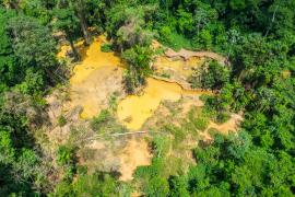 mazin_creek_-_illegal_goldmining_sites_close_to_the_limits_of_the_nouragues_reserve_8_c_clement_villien_-_wwf.jpg