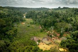 Orpaillage illégal © Guillaume Feuillet / PAG