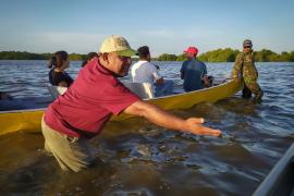 renforesap_-_bigipan_niew_nickerie_suriname_18-22nov2019_c_cedric_berton_pae-28.jpg