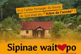 pag_saul-_arbre_de_lannee_2015-v4kalina.jpg