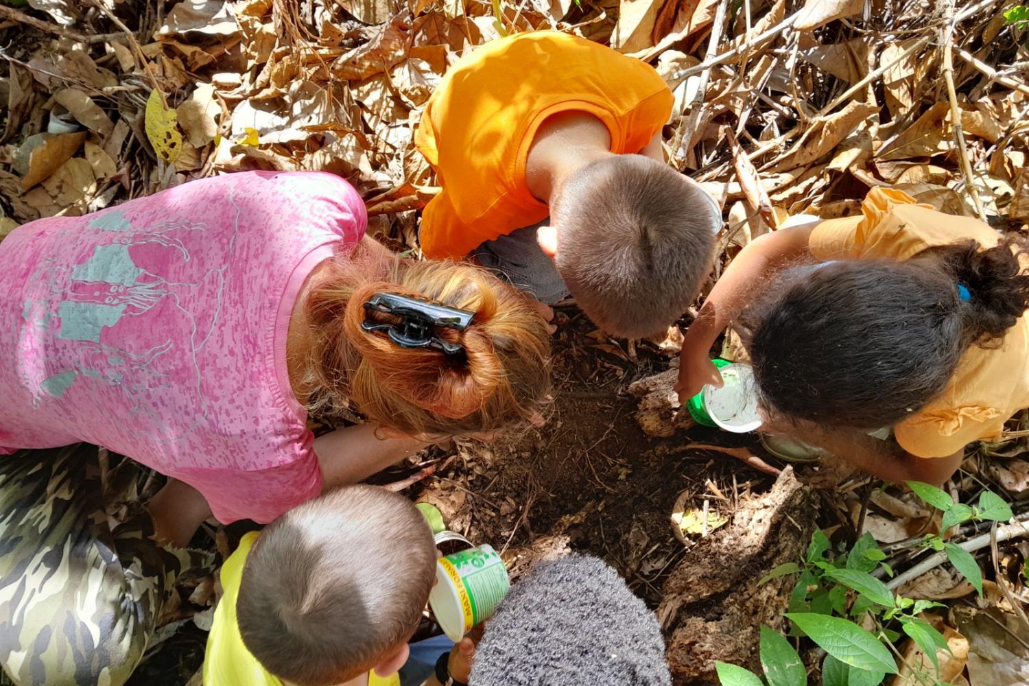 potager école Saül