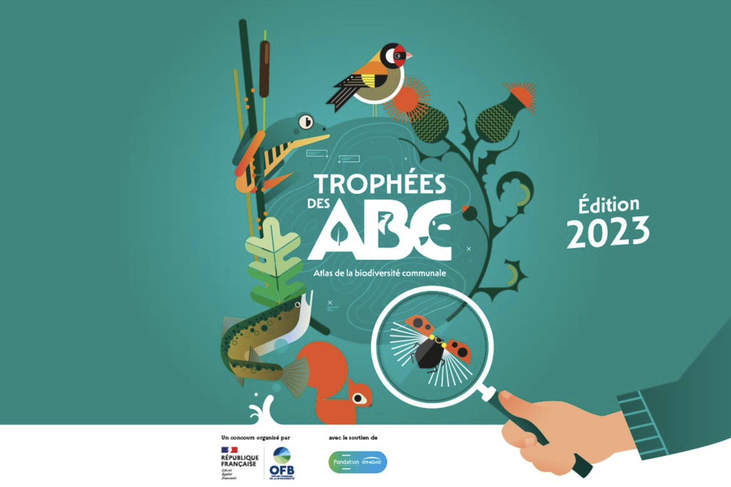 Trophée ABC OFB