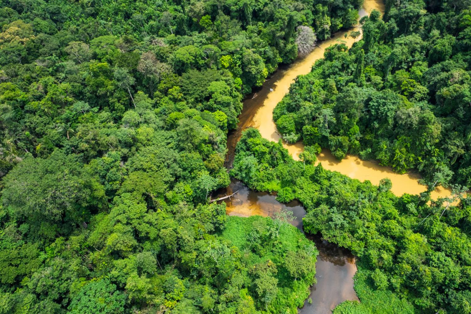 confluence_point_of_brodel_and_mazin_creeks_-_impacts_of_legal_illegal_goldmining_4_c_clement_villien_-_wwf.jpg