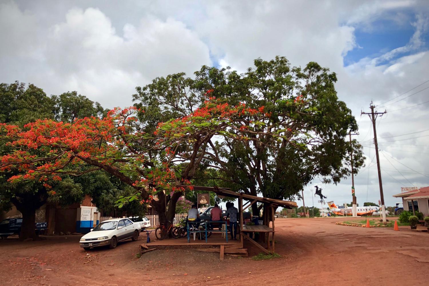 lethem_guyana_-renforesap_may2019_c_claudia_berthier_pag_-_1.jpg