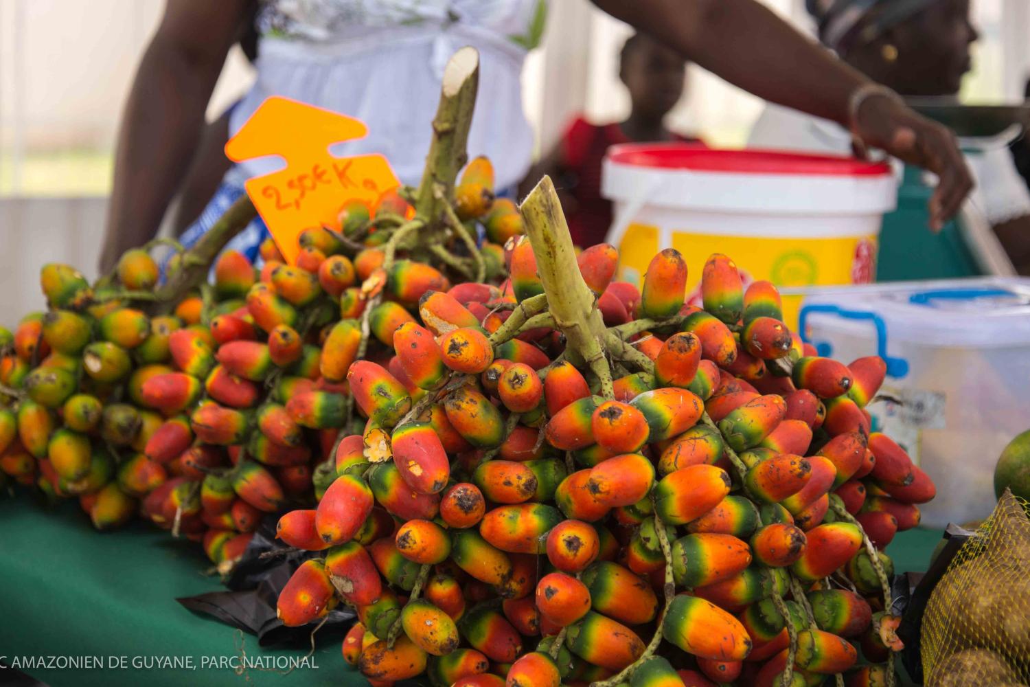 marche_artisanal_maroni_guyane_-_juin_2014_c_c._berthier-13.jpg