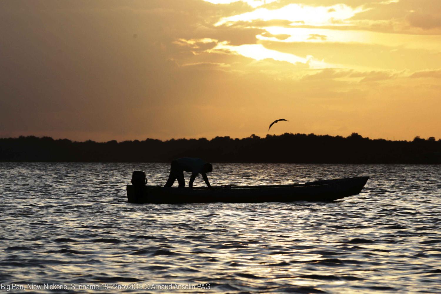 renforesap_-_bigipan_niew_nickerie_suriname_18-22nov2019_c_arnaud_anselin_pag-34.jpg