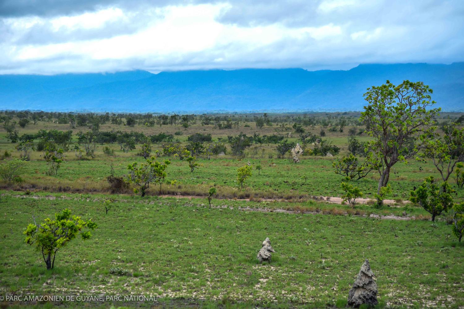 Le Parc ien de Guyane