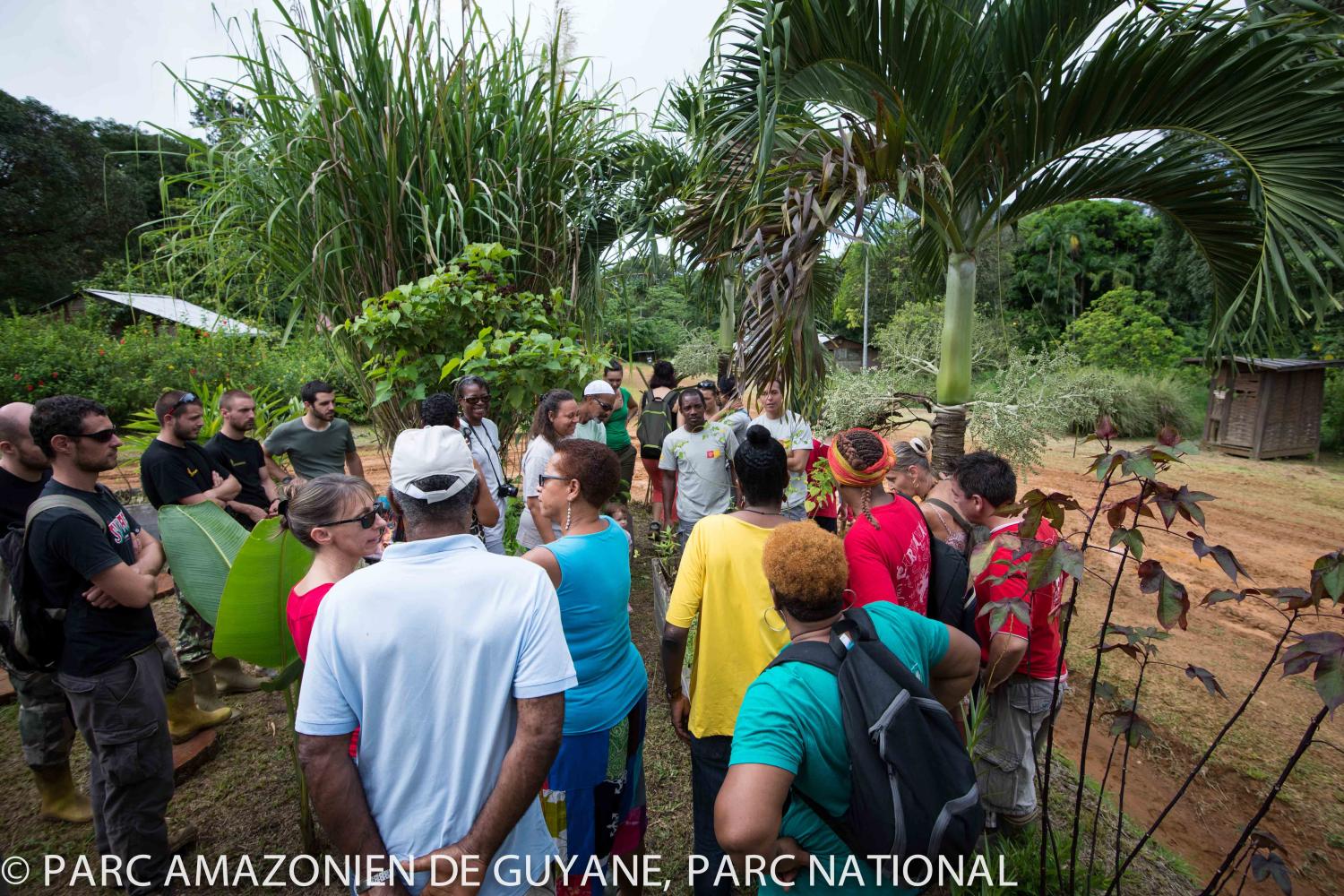 saul-jardin-amazonie_mai2013_gfeuillet_pag-15.jpg