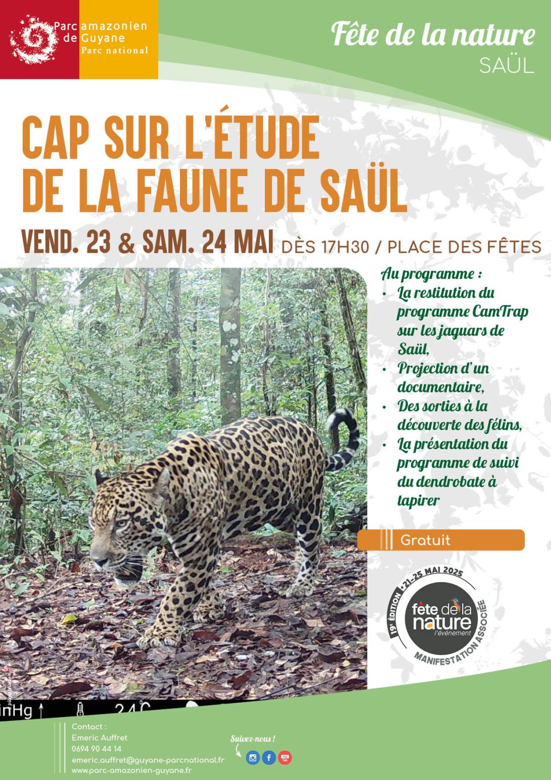 flyer FDN Saül